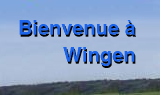 Vue d'ensemble de Wingen